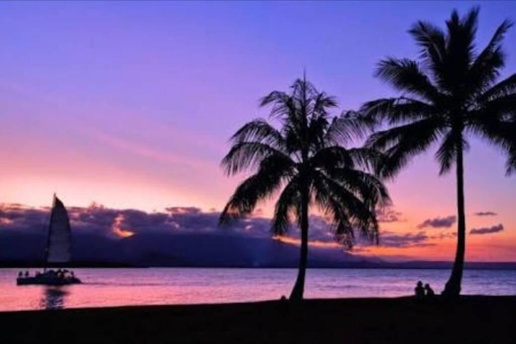 Tropical One Bedroom At The Mediterranean * Port Douglas