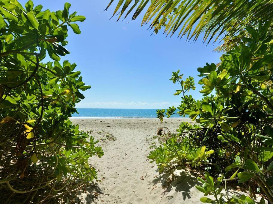 Plantation No.8 - Spacious By The Villa Port Douglas