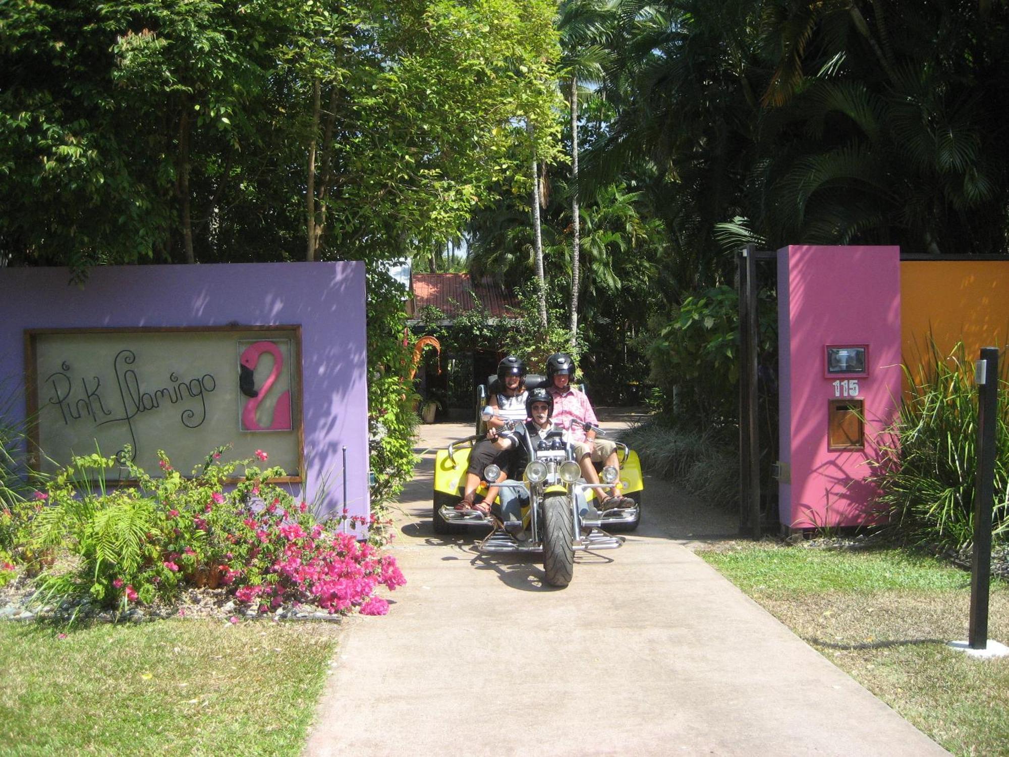 Resort Pink Flamingo