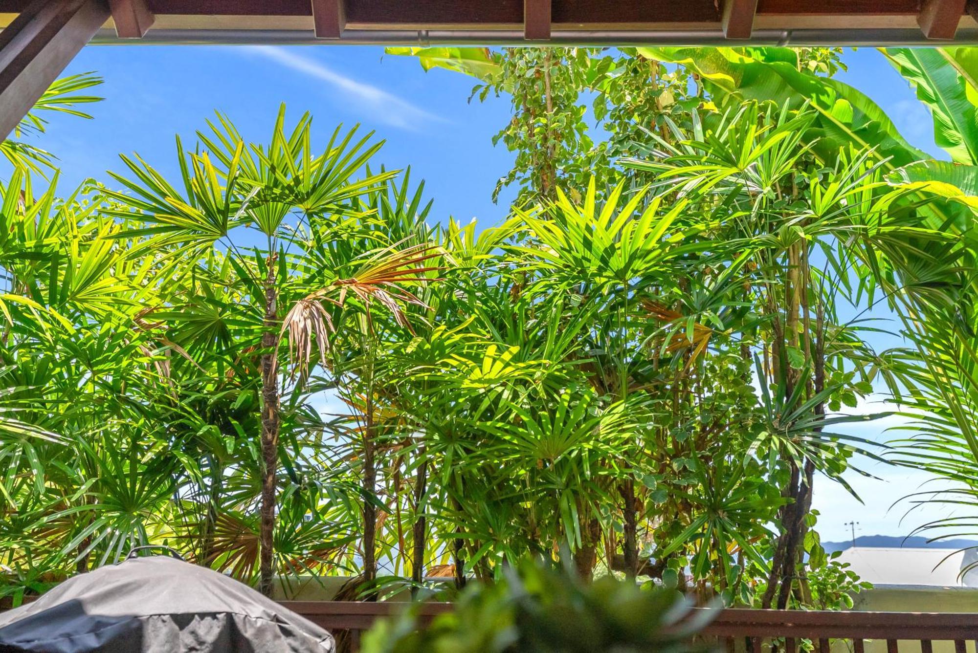Paradiso Pavilion - An Intimate Bali-Style Haven