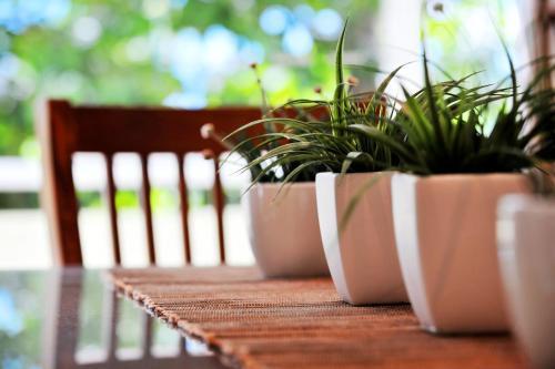 Verandahs Boutique 4* Port Douglas