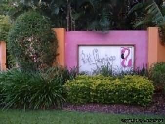 Pink Flamingo Resort 4*