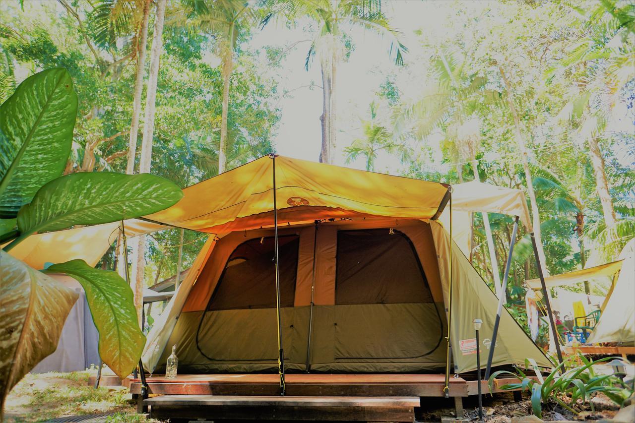 Hostel Dougies Backpackers *
