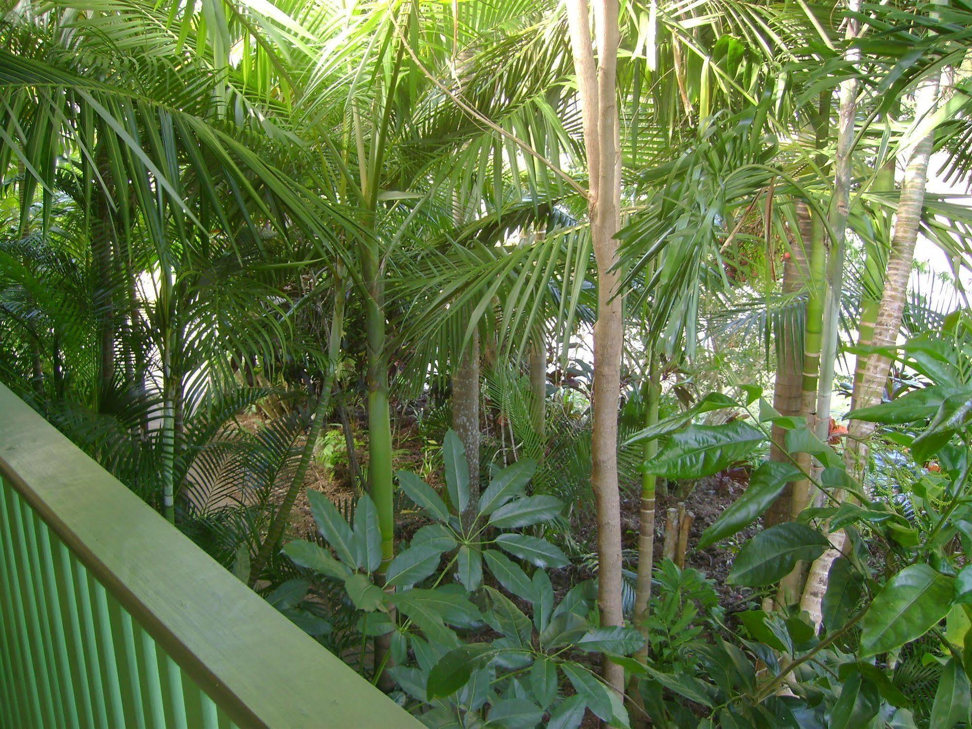 Resort Tropical Nites
