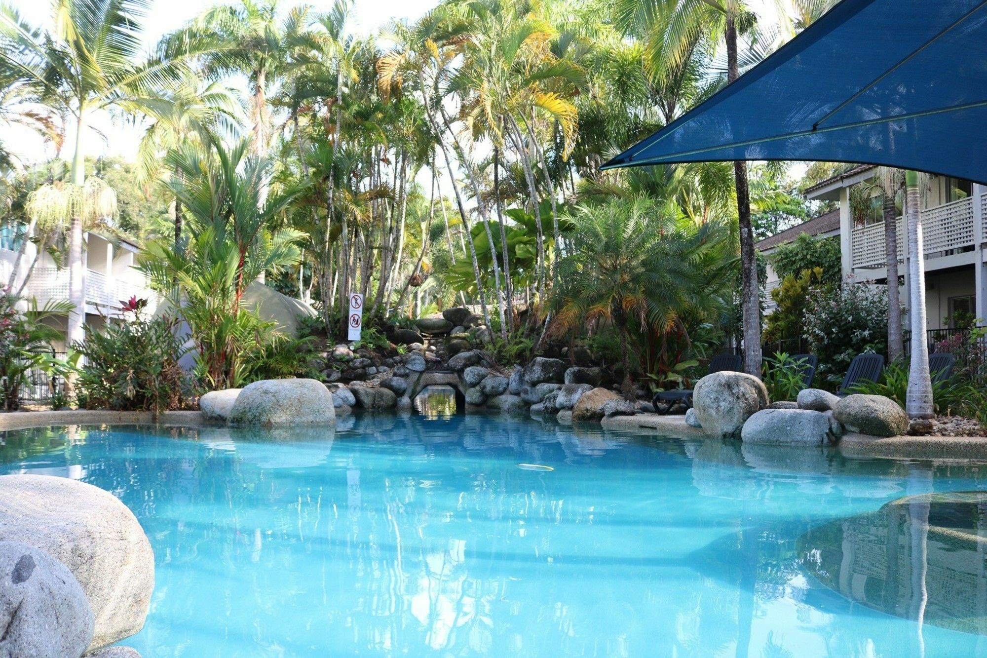 Heliconia * Port Douglas