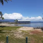 Wandering Palms