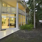 Tropical Palms