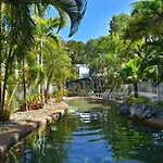 Tropical Palms