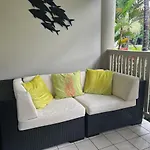 Tropical Palms