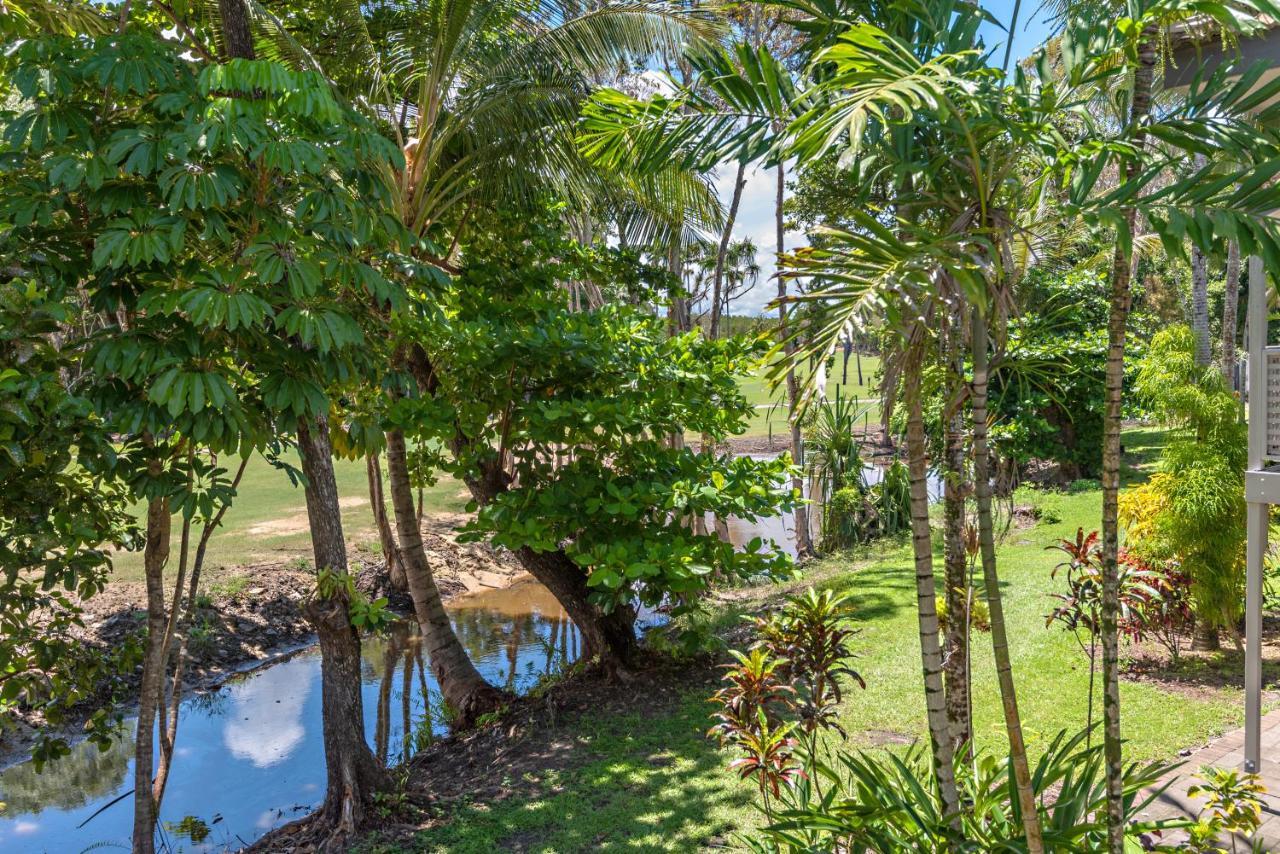 Reeforest Heated Lagoon Pool Hammock Wifi Netflix Parking * Port Douglas