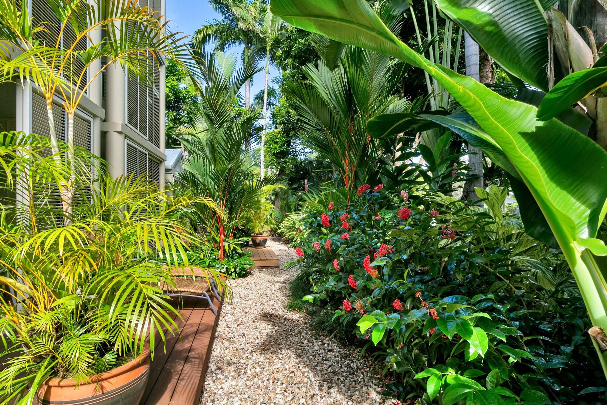 - Adults Only Oasis 4* Port Douglas