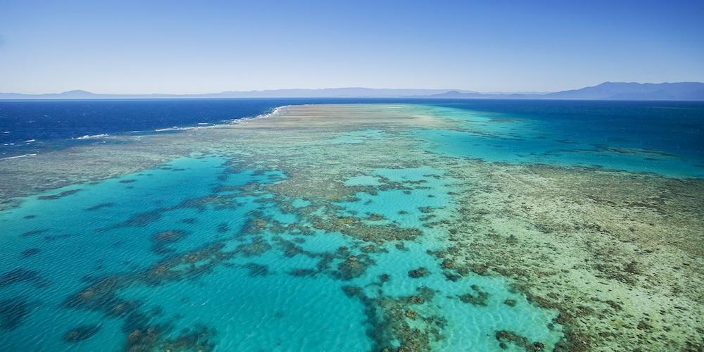 Coral Sea