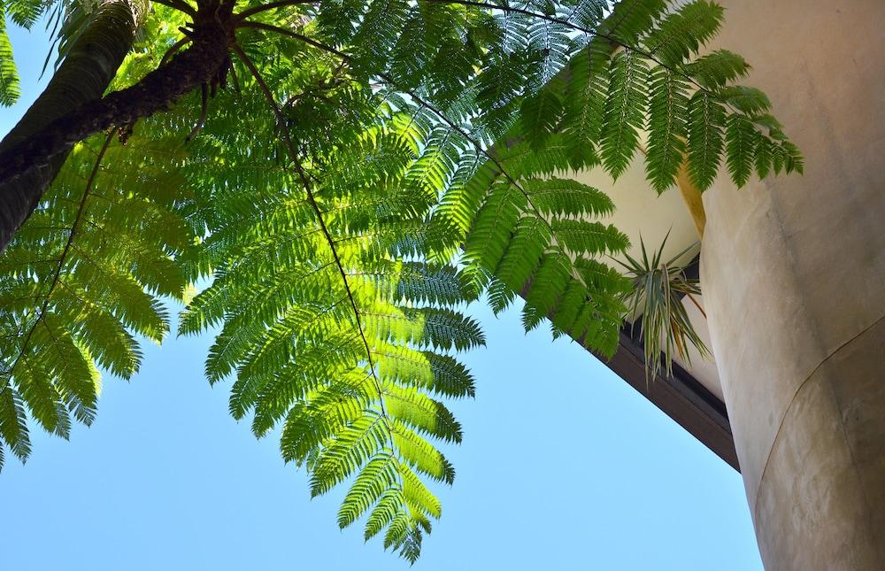 San Michele Aparthotel Port Douglas