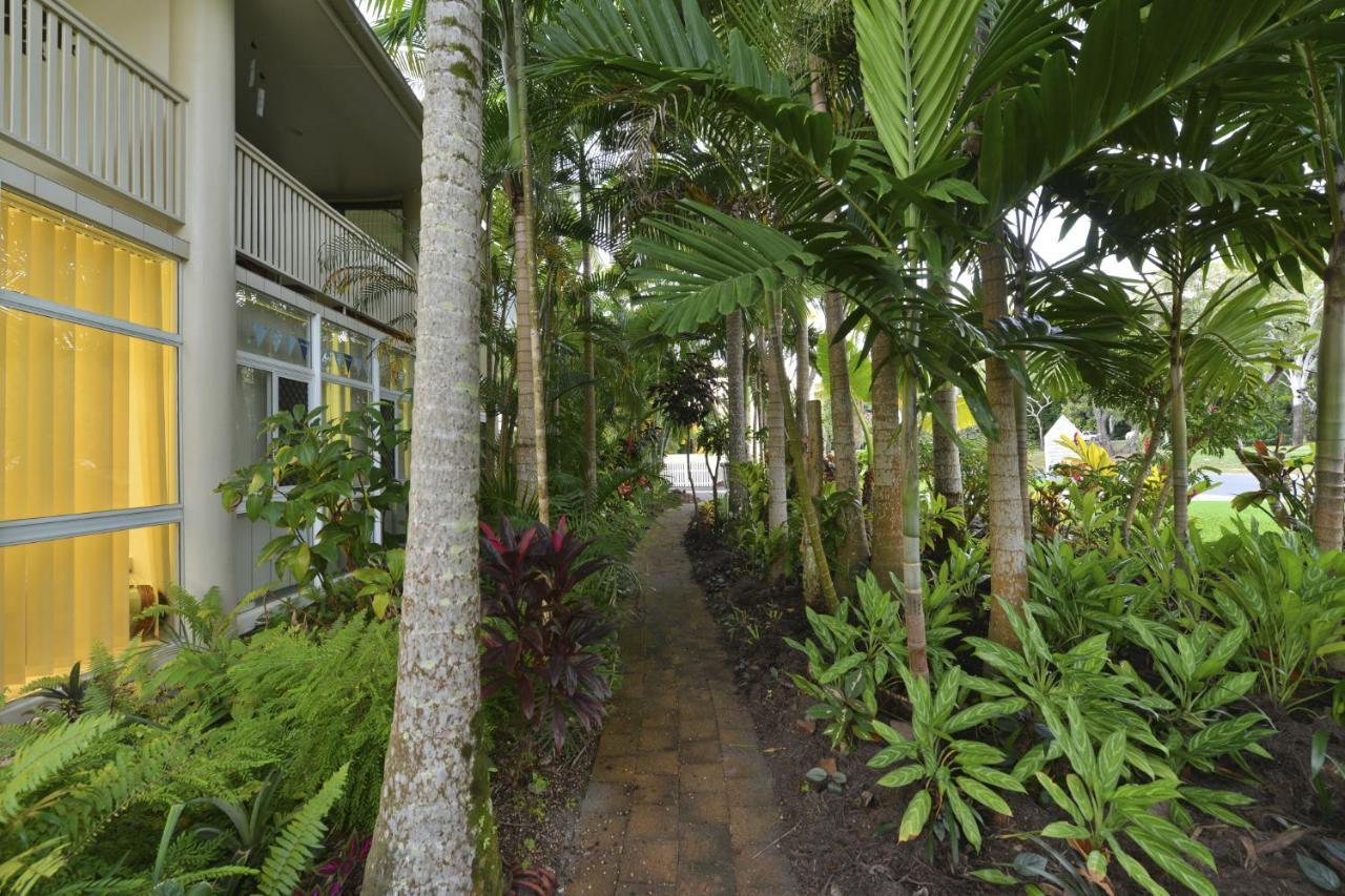 Tropical Palms *