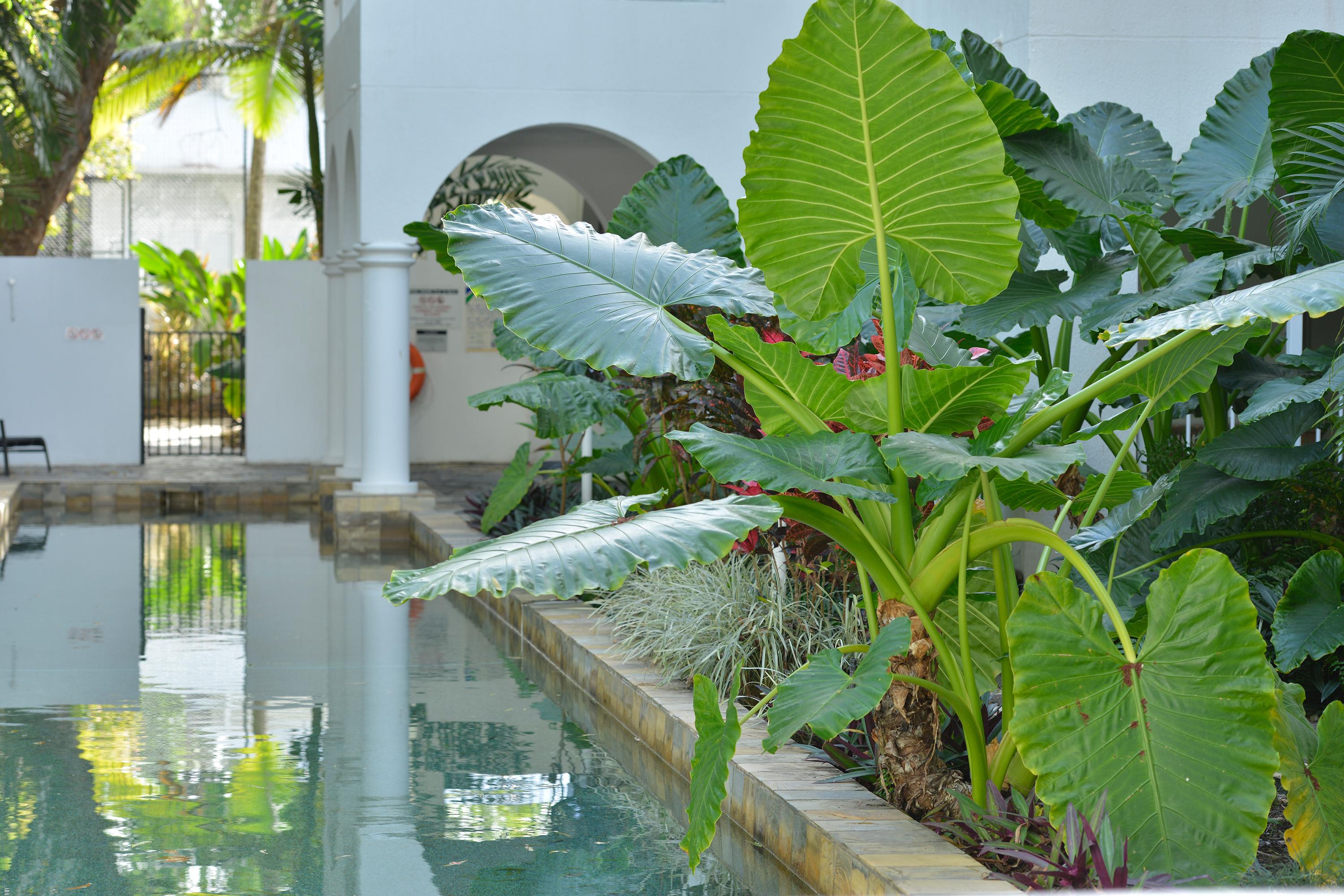 Mantra Portsea Hotel Port Douglas