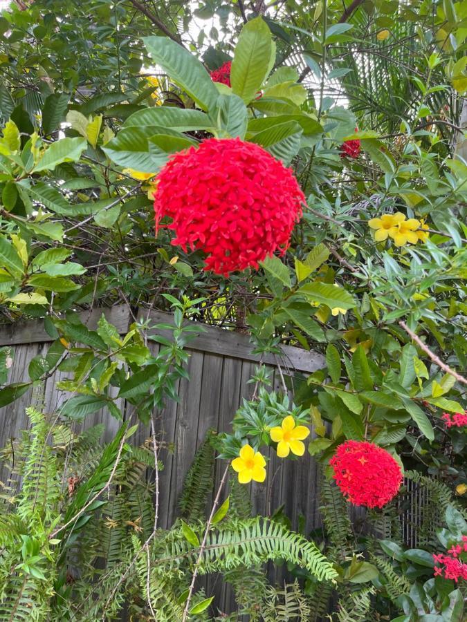 Tropical Palms Holiday home Port Douglas
