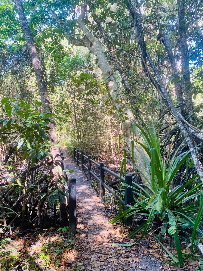 Villa Coral - Tropical Oasis Footsteps To Four Mile