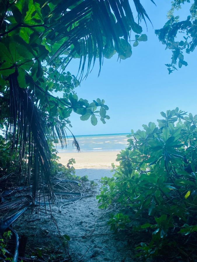 Coral - Tropical Oasis Footsteps To Four Mile