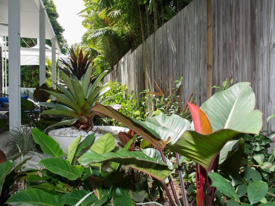 Holiday home The White Oasis - 5 Bedroom Luxury In Town Port Douglas