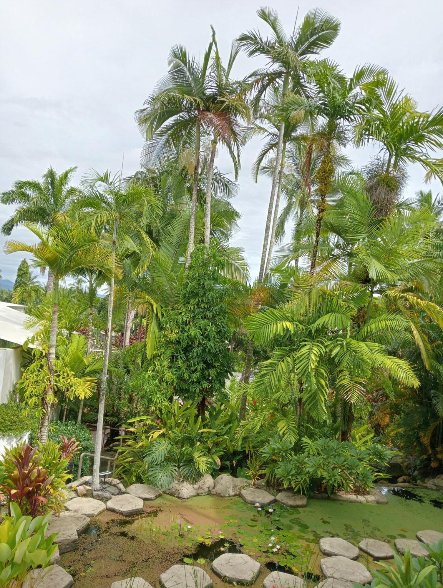 Club Tropical - Official Onsite Reception & Check In Aparthotel