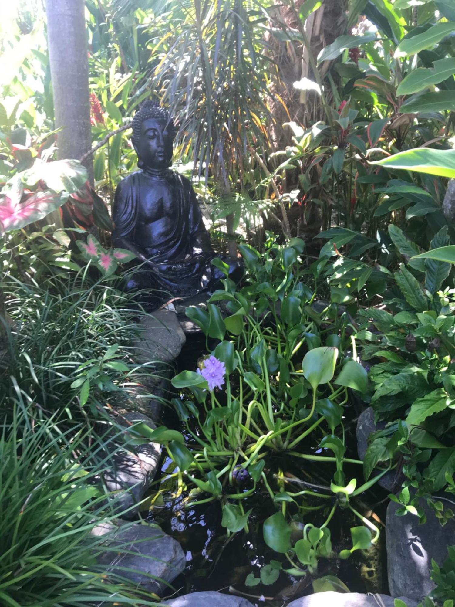Chez Brolga Holiday home Port Douglas