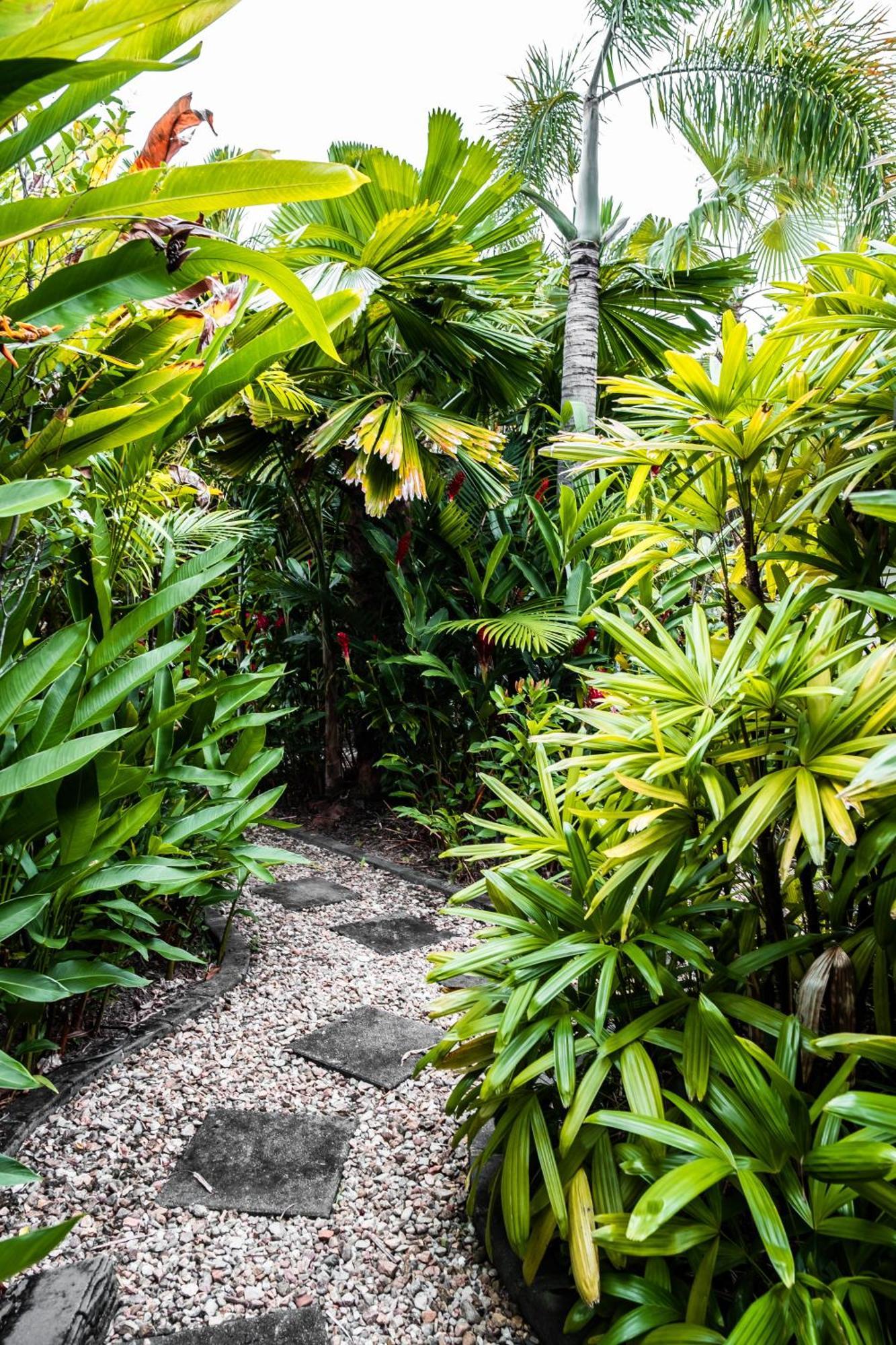 Chez Brolga Holiday home Port Douglas