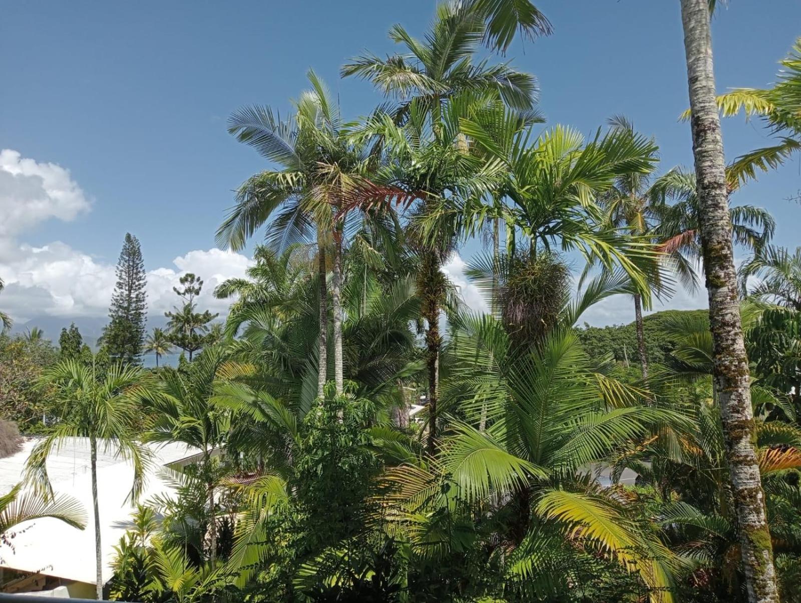 Aparthotel Club Tropical - Official Onsite Reception & Check In