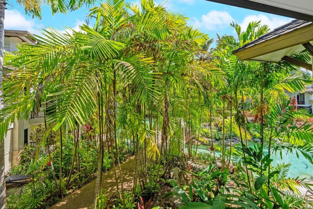 Luxury Beachside 3 Bedroom Sea Temple With Private Roof Terrace Apartment Port Douglas