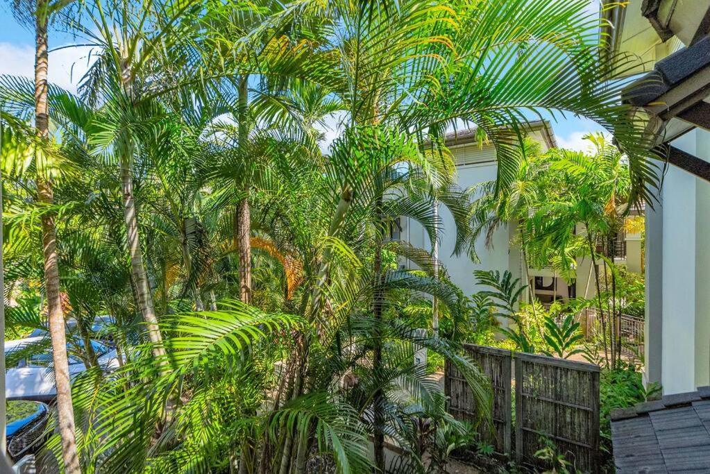 Apartment Luxury Beachside 3 Bedroom Sea Temple With Private Roof Terrace Port Douglas