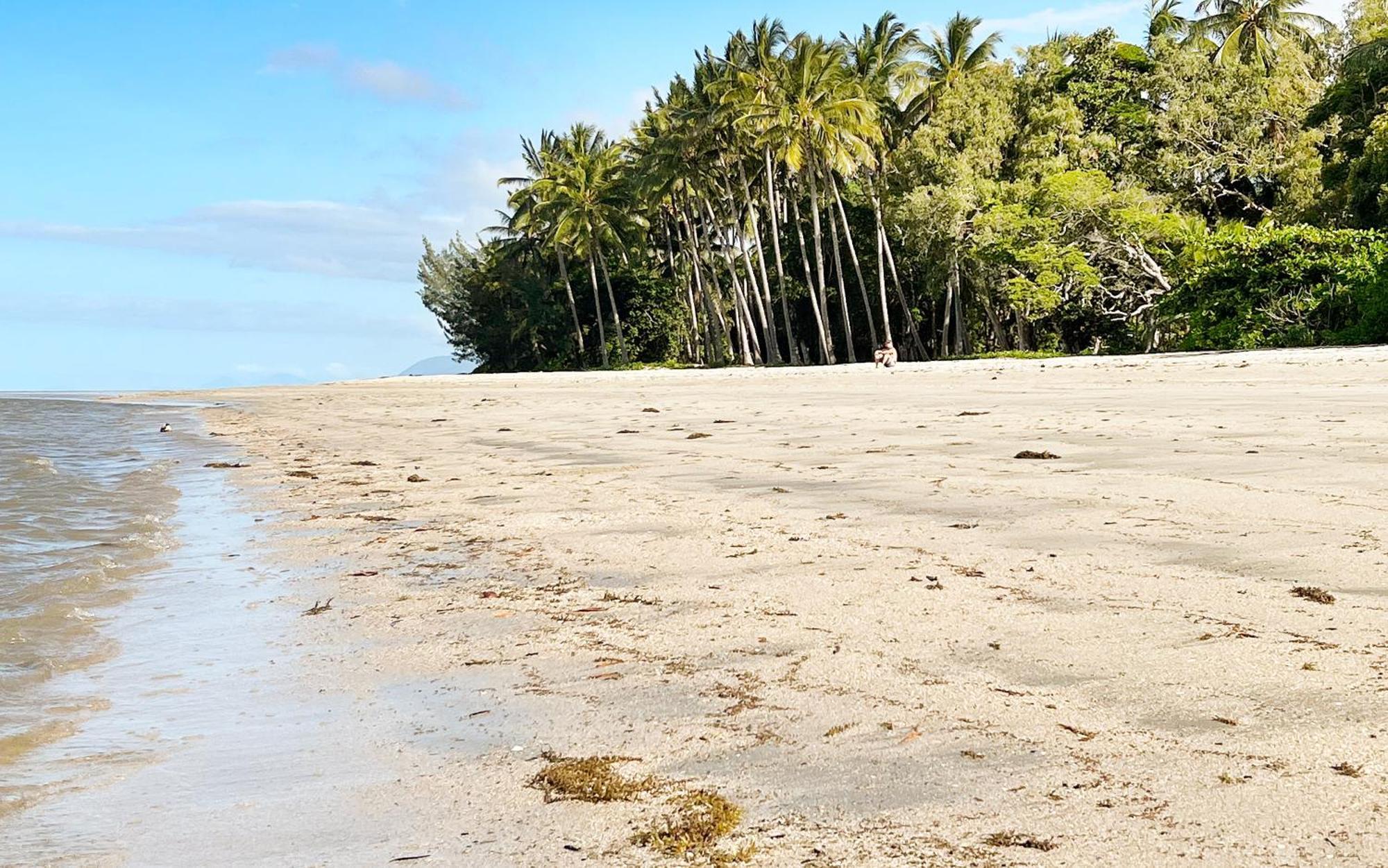 Le Palmier Holiday home Port Douglas