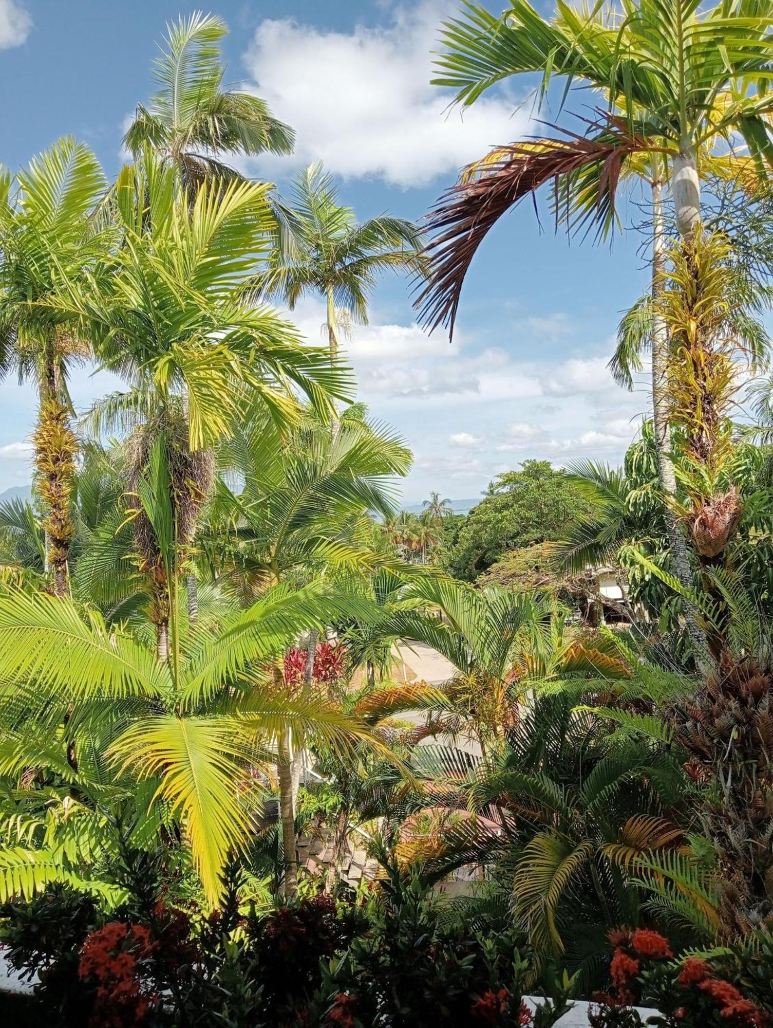 Club Tropical - Official Onsite Reception & Check In Aparthotel