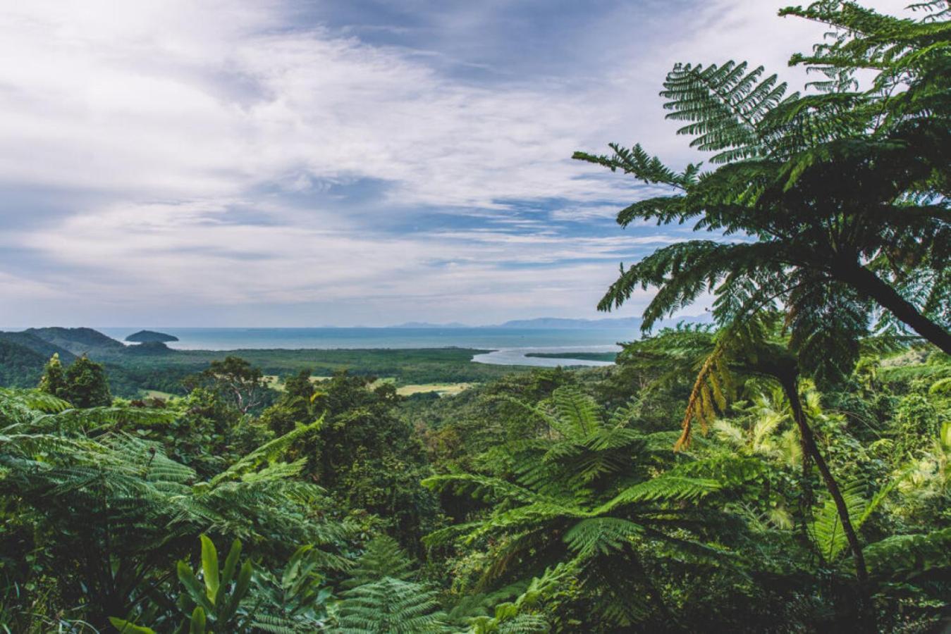 Rabbits In Paradise * Port Douglas