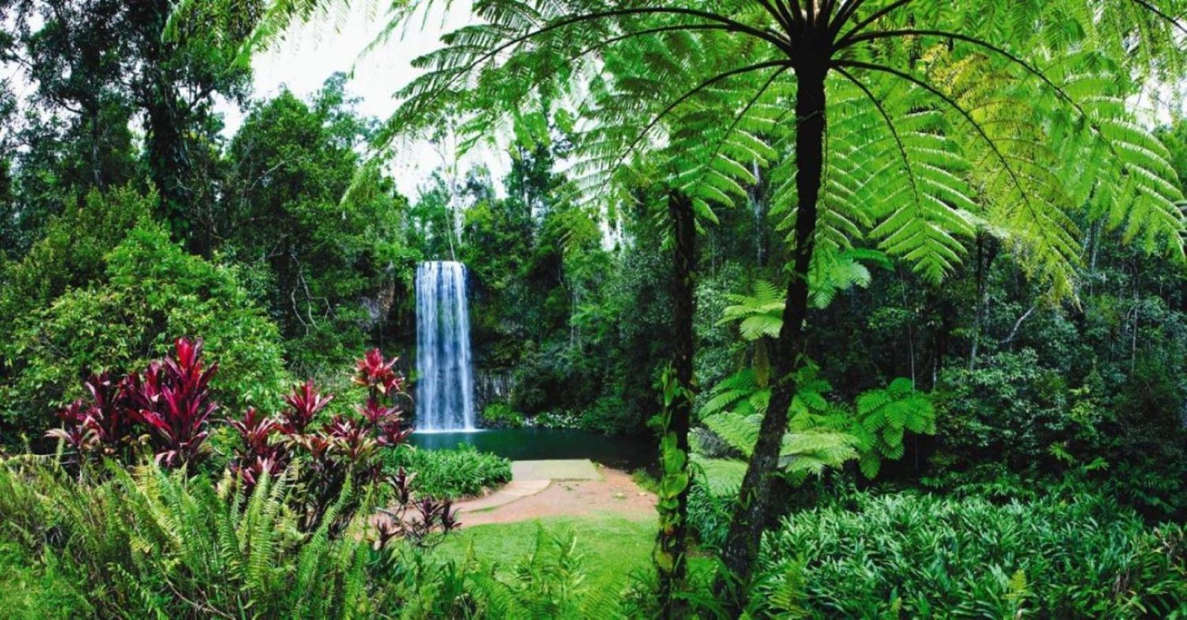 Port House 4 * Port Douglas