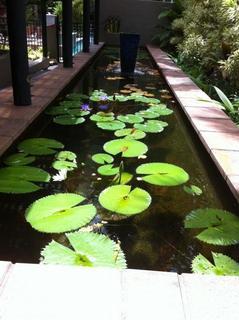 Aparthotel Reef Club