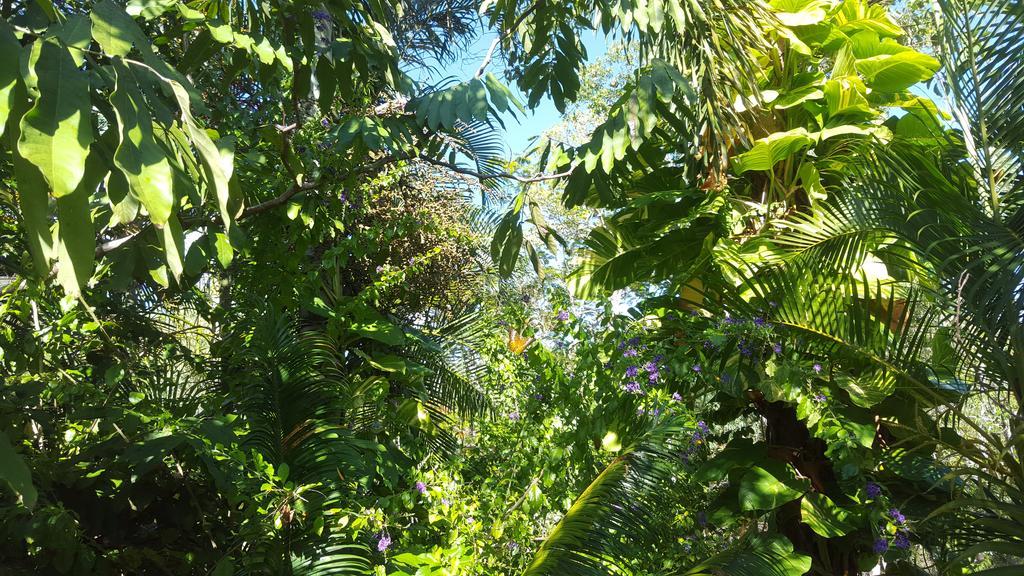 Mountain View Villas Villa Port Douglas