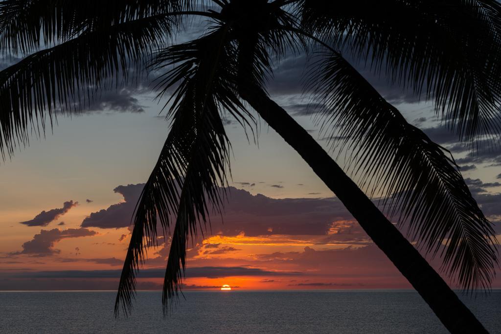 Resort Thala Nature Reserve Port Douglas