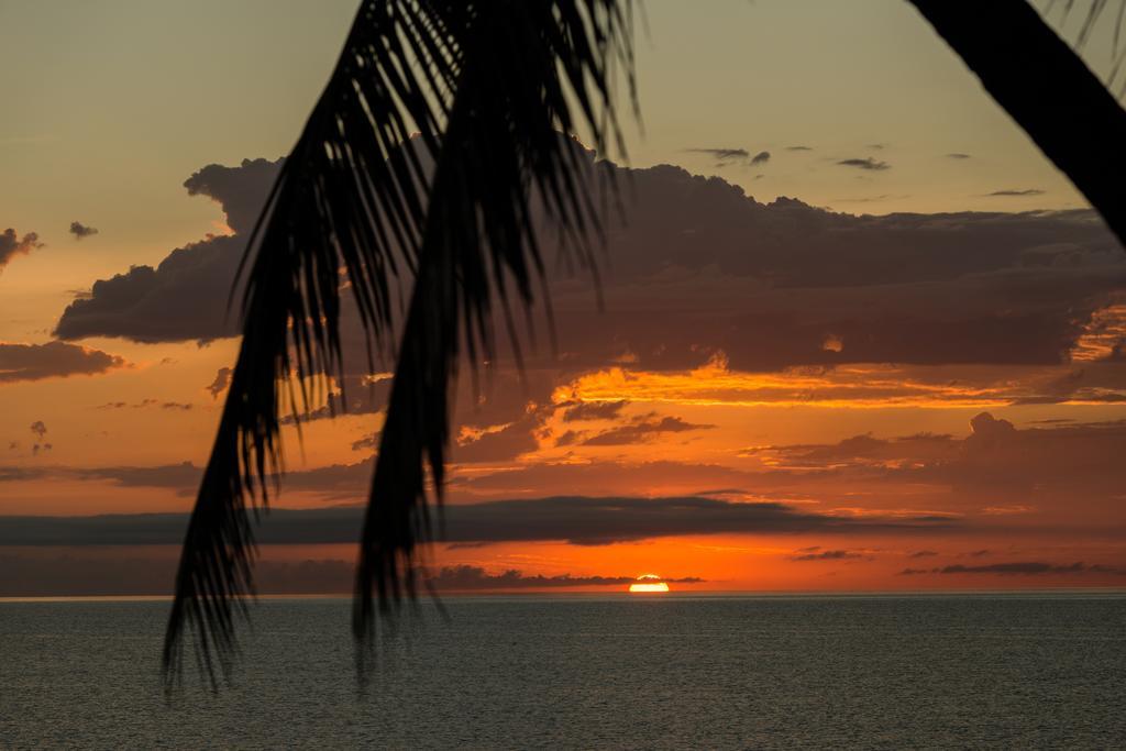 Thala Nature Reserve Port Douglas