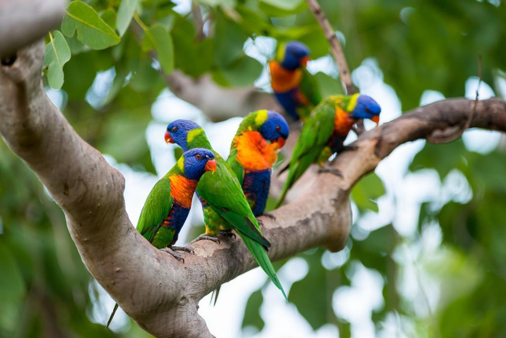 Resort Thala Nature Reserve 5*