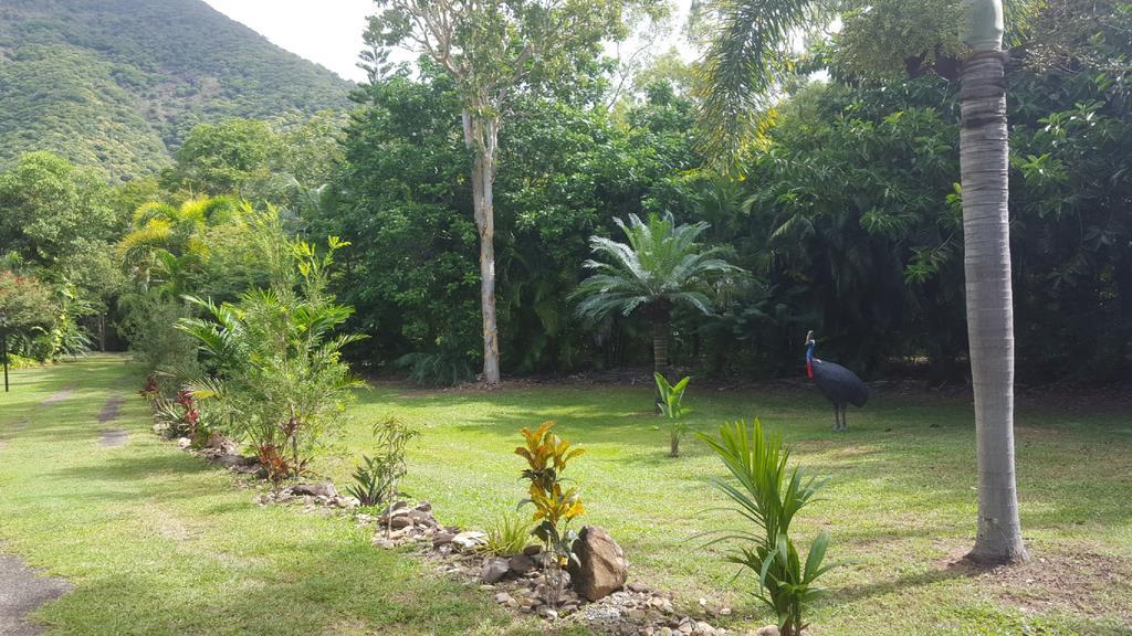 Villa Mountain View Villas Port Douglas