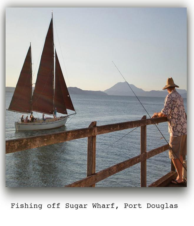 - Adults Only Oasis Port Douglas