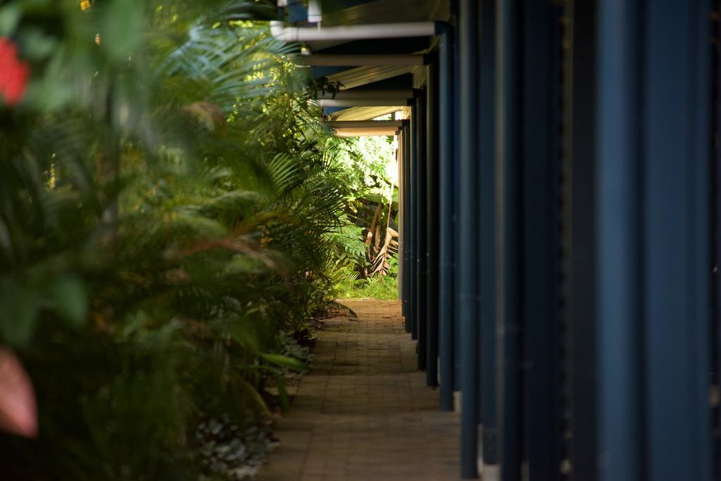Lazy Lizard Motor Motel 3*
