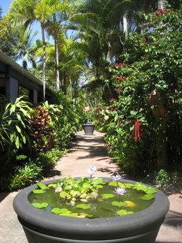 Pink Flamingo Resort 4*