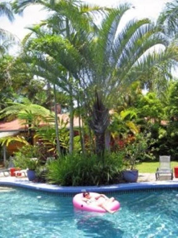 Pink Flamingo Port Douglas