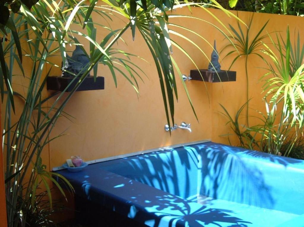 Pink Flamingo Resort