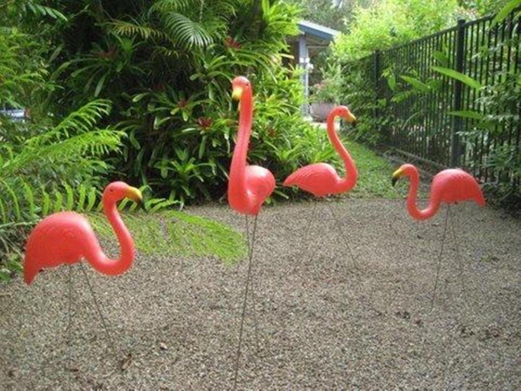 Pink Flamingo 4*