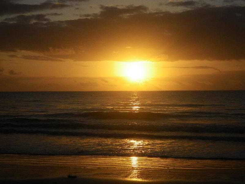 Lazy Lizard Motor 3* Port Douglas