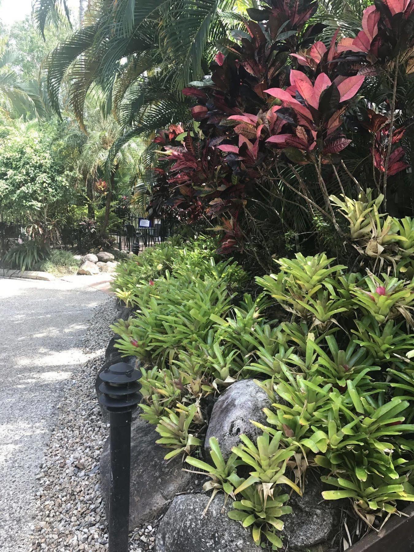 Palm Aparthotel