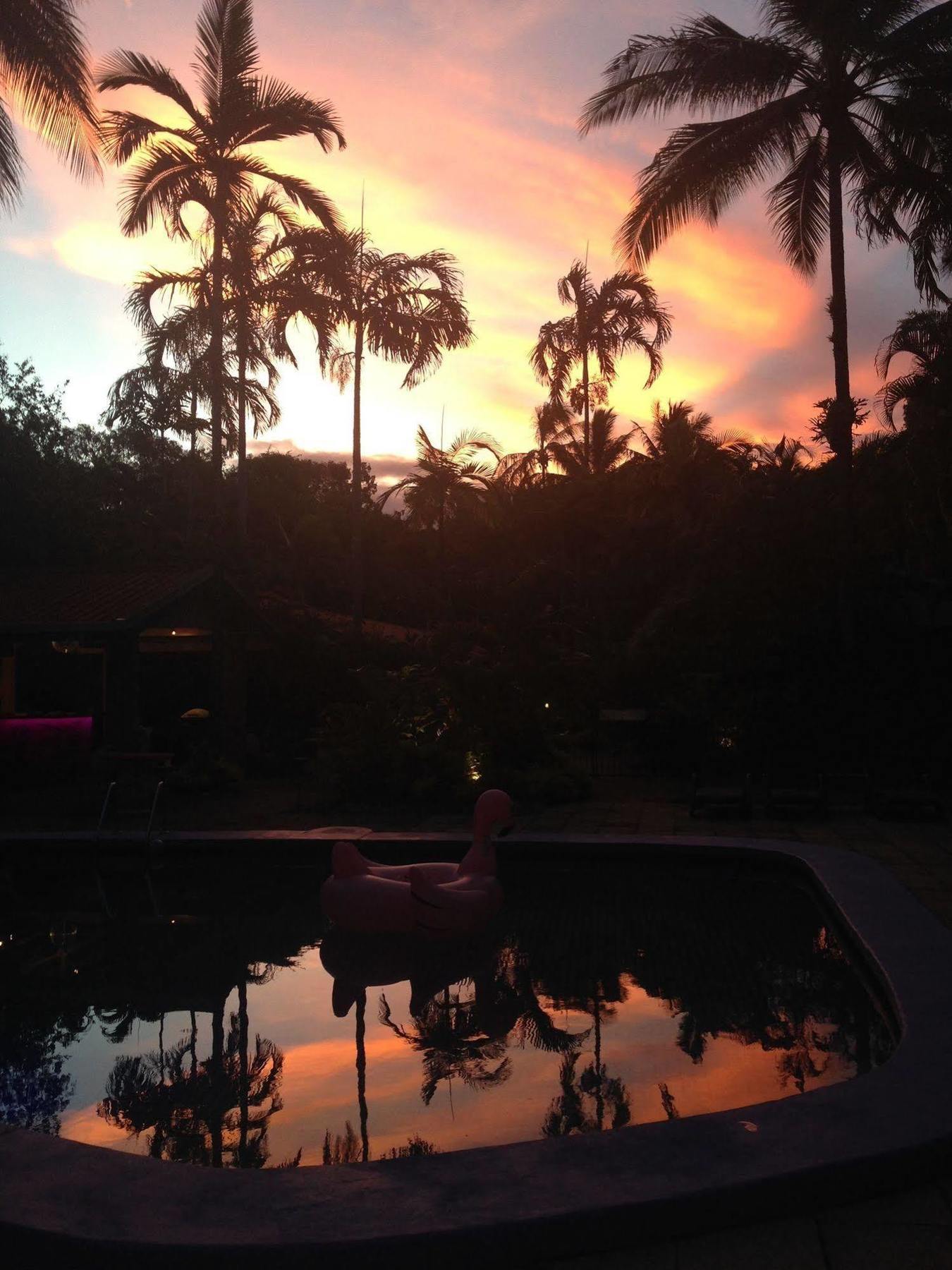 Resort Pink Flamingo