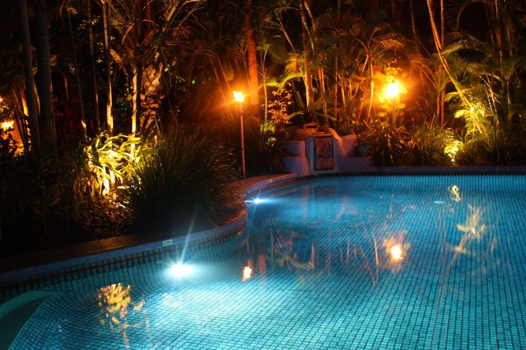 Resort Pink Flamingo