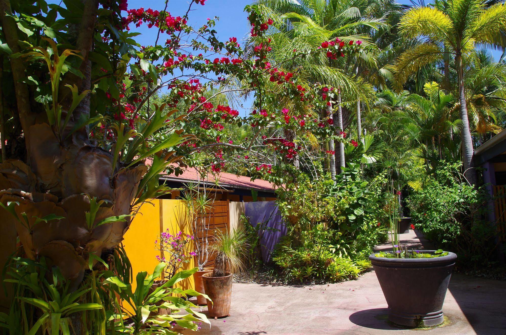 Pink Flamingo 4* Port Douglas